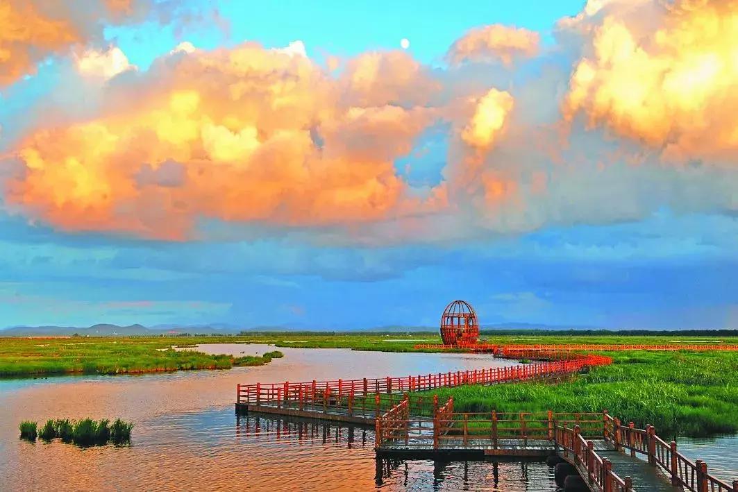 黑龙江十大观鸟地2026年本年度热度口碑双榜对比 黑龙江十大观鸟地2026年本年度热度口碑双榜对比