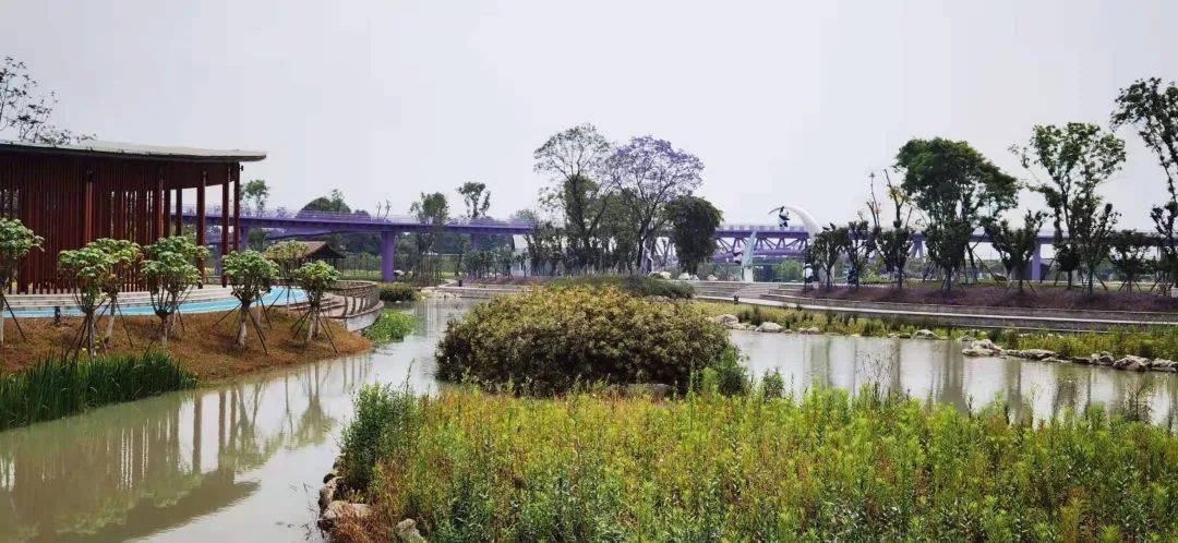 中国十大最有名的男团组合2026年本年度热度口碑双榜对比