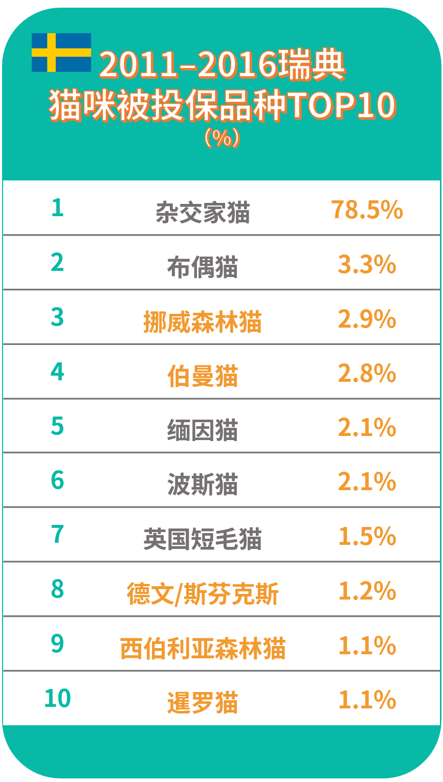 世界十大最聪明的宠物猫2026年本年度热度口碑双榜对比