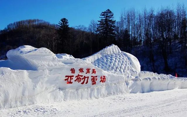 宁波十大最适合看雪的地方2026年本年度热度口碑双榜对比