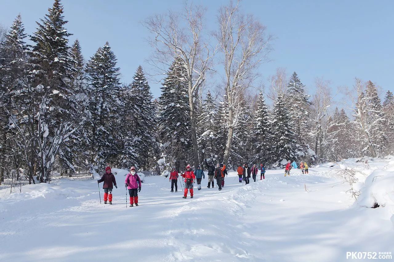 宁波十大最适合看雪的地方2026年本年度热度口碑双榜对比