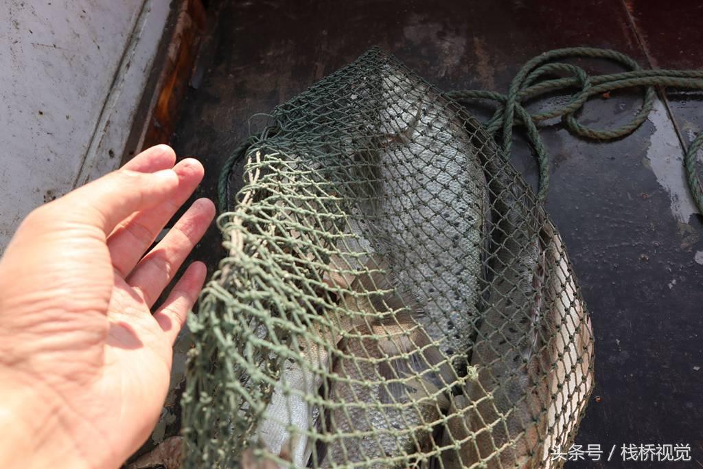 青岛十大钓鱼好地方2026年本年度热度口碑双榜对比 青岛十大钓鱼好地方2026年本年度热度口碑双榜对比