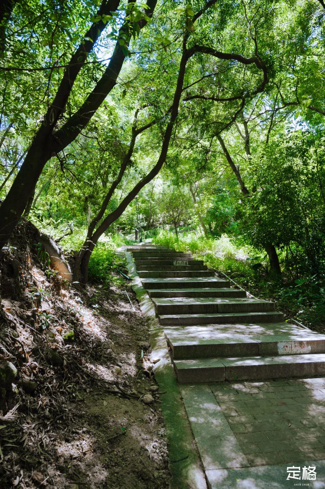 深圳十大爬山好去处2026年本年度热度口碑双榜对比