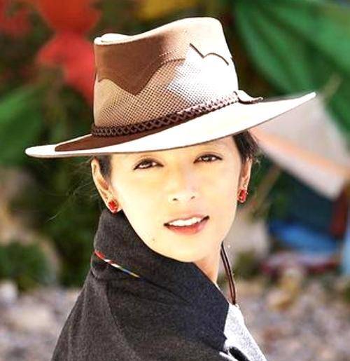 西藏十大明星2026年本年度热度口碑双榜对比