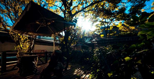 西安十大最美民宿2026年本年度热度口碑双榜对比