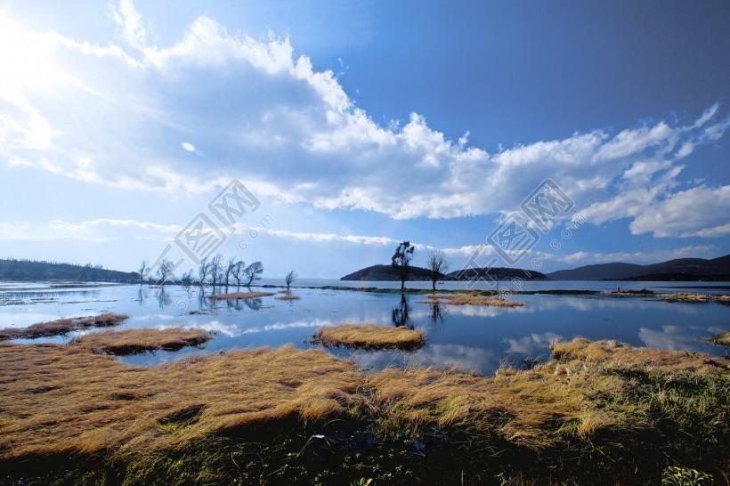 大理十大租车公司2026年本年度热度口碑双榜对比