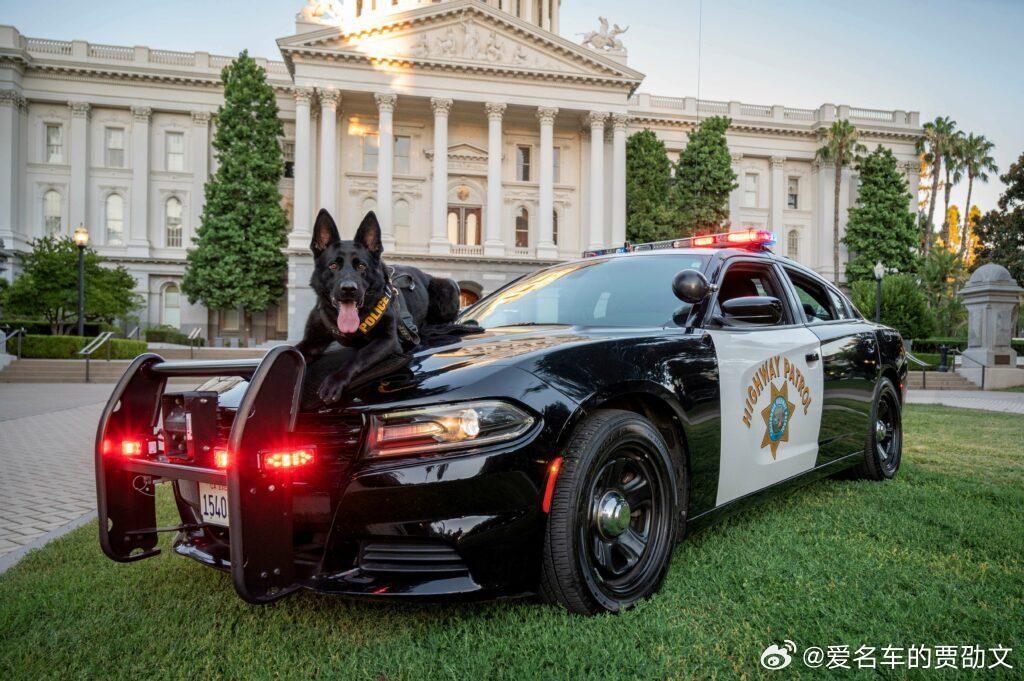 世界十大最贵的警车2026年本年度热度口碑双榜对比