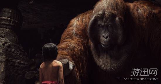 世界十大动物电影2026年本年度热度口碑双榜对比