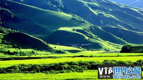 世界十大草甸2026年本年度热度口碑双榜对比