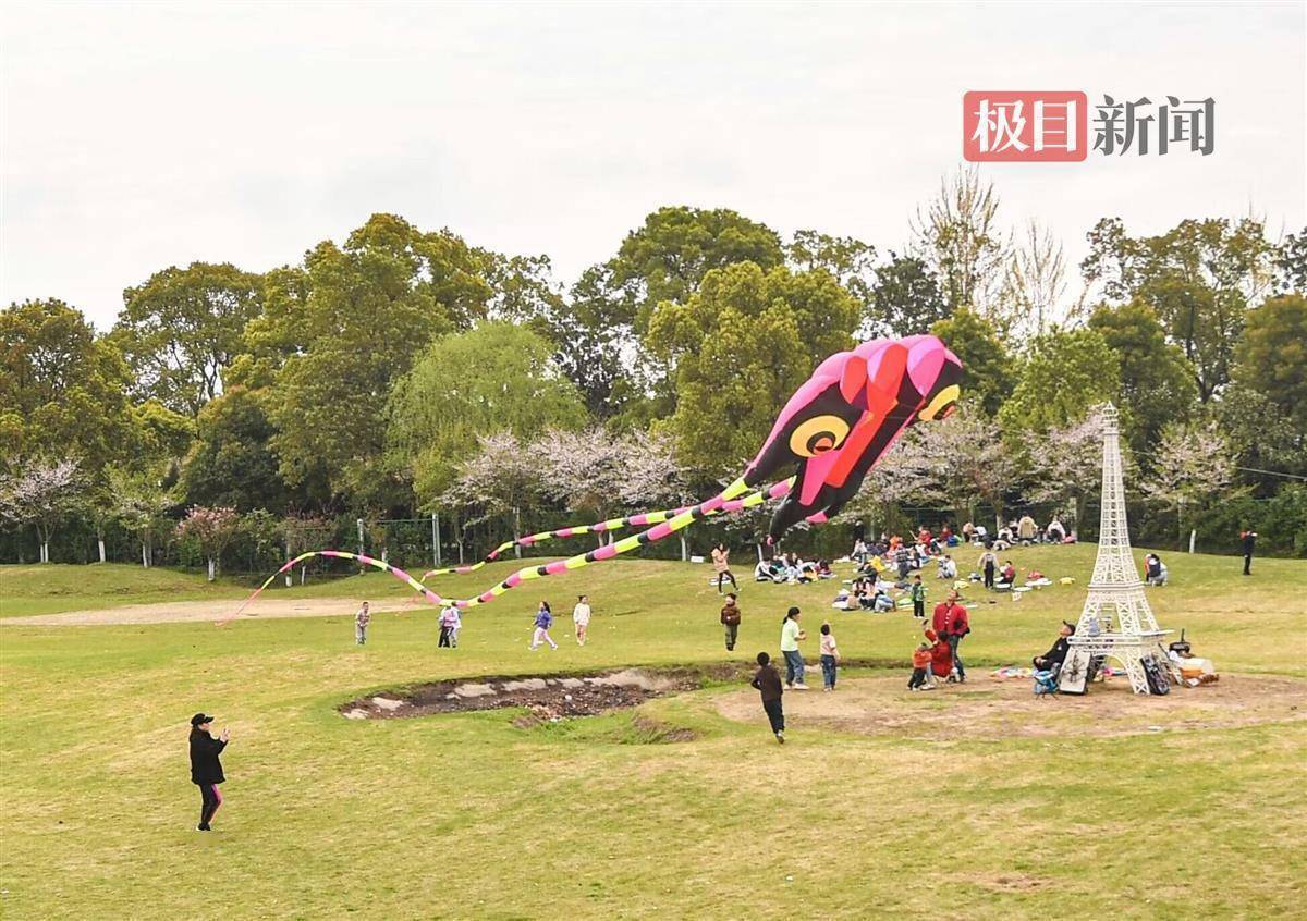 武汉十大适合放风筝的地方2026年本年度热度口碑双榜对比