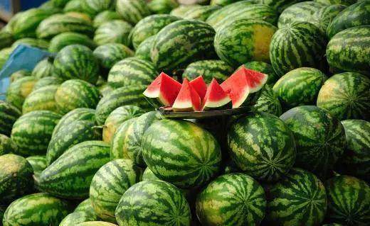 西瓜十大品种2026年本年度热度口碑双榜对比