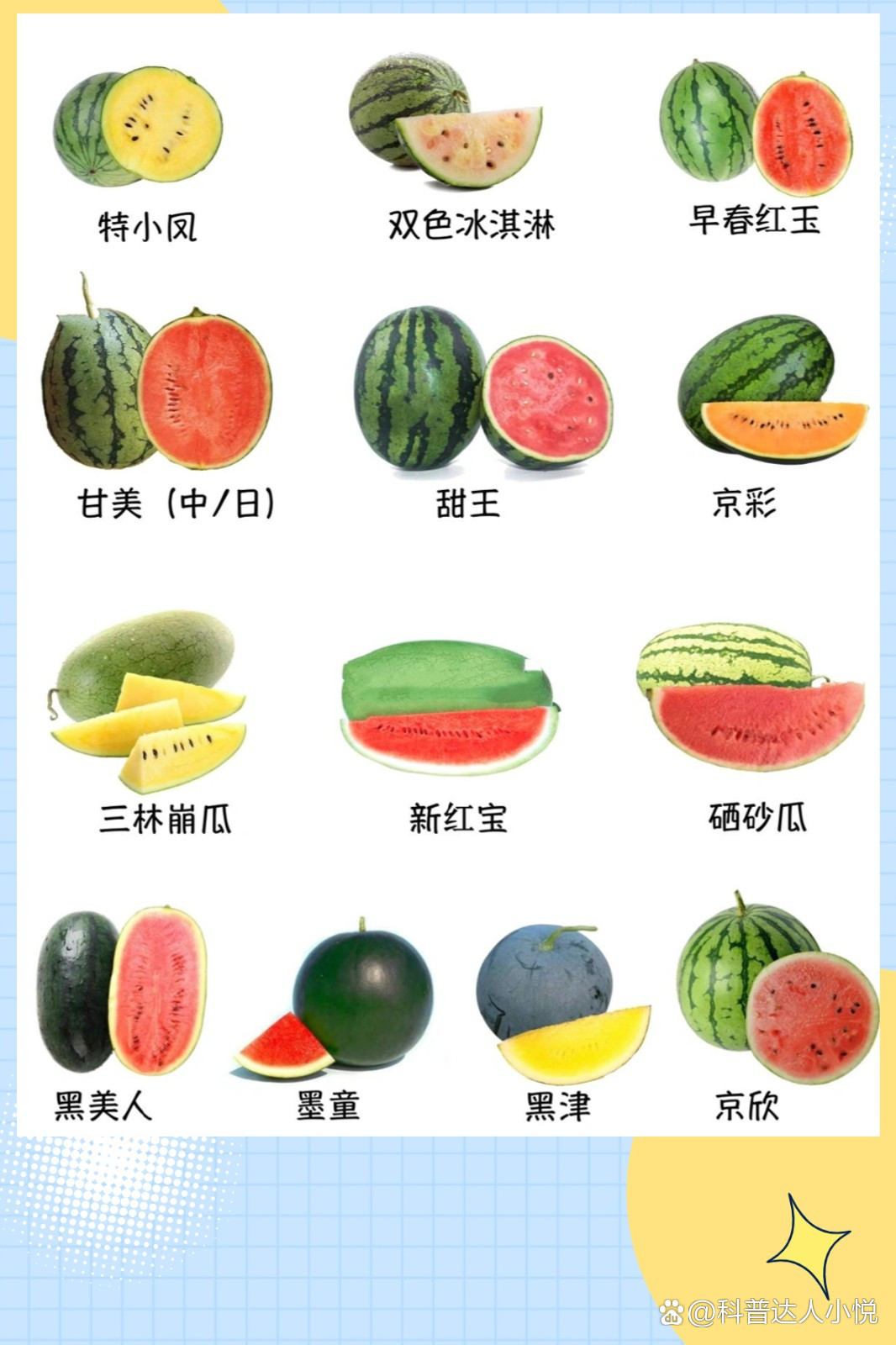 西瓜十大品种2026年本年度热度口碑双榜对比