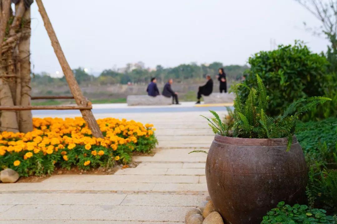 厦门十大赏花胜地2026年本年度热度口碑双榜对比