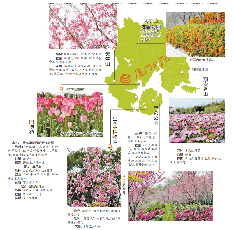 厦门十大赏花胜地2026年本年度热度口碑双榜对比