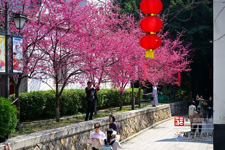 福州十大适合野餐的好地方2026年本年度热度口碑双榜对比