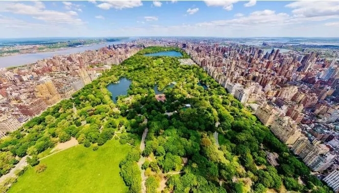 十大最具潜力的湿地公园2026年本年度热度口碑双榜对比