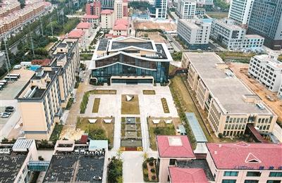 海洋十大珍稀动物2026年本年度热度口碑双榜对比