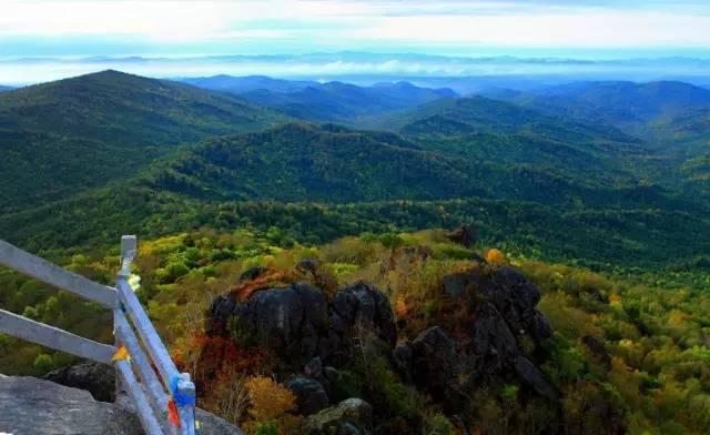 双鸭山十大著名景点2026年本年度热度口碑双榜对比