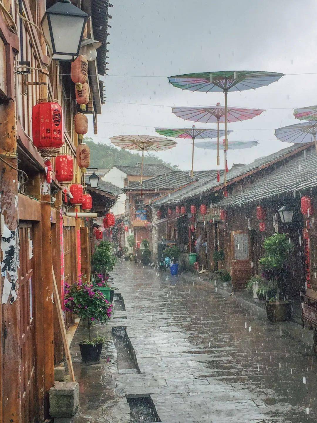 电视剧十大花魁2026年本年度热度口碑双榜对比