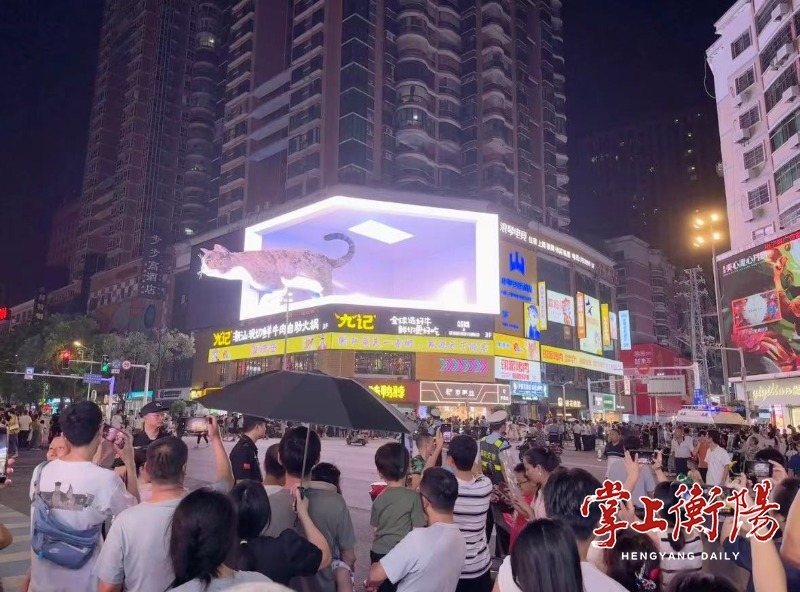 衡阳十大商业街2026年本年度热度口碑双榜对比