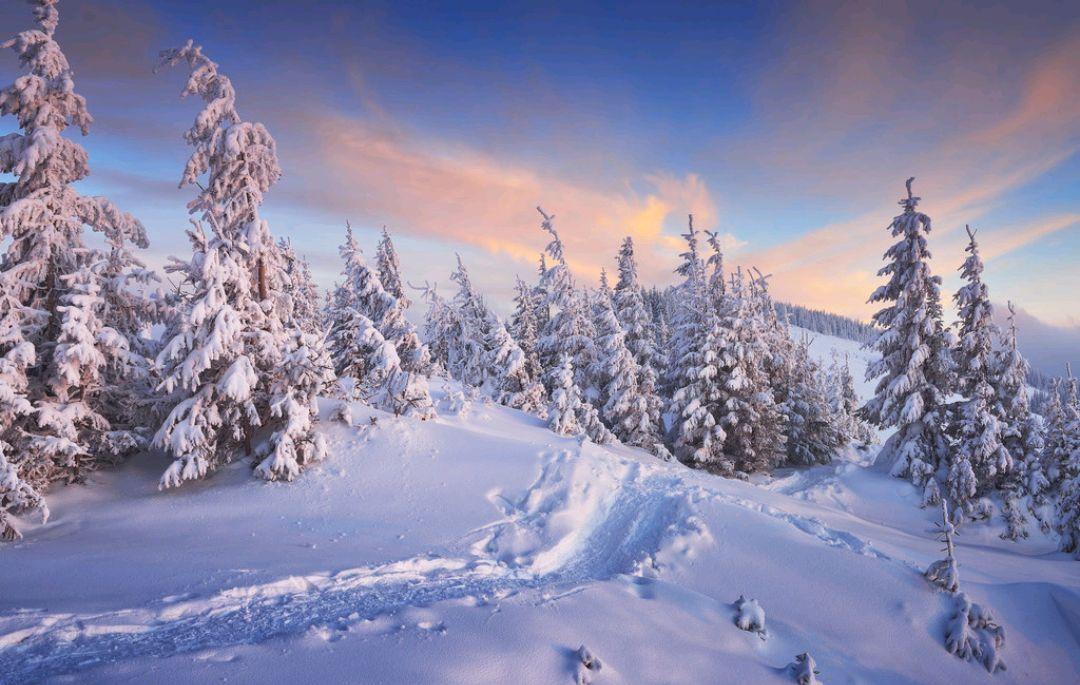 十首关于月亮的经典古诗词2026年本年度热度口碑双榜对比