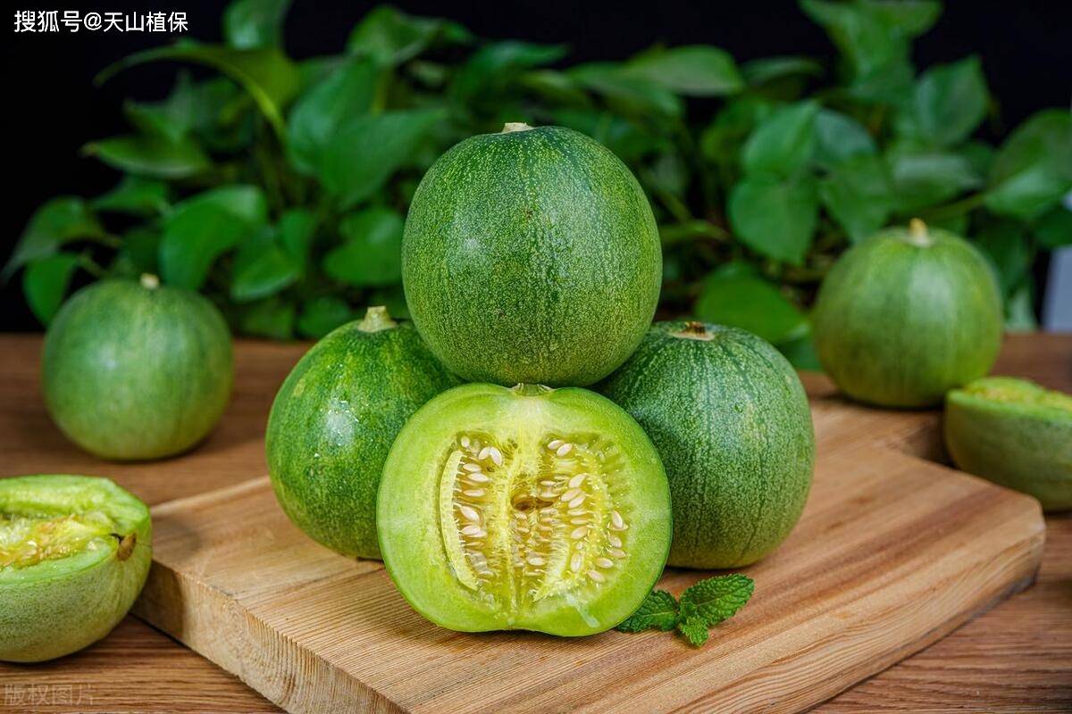 香瓜十大品种2026年本年度热度口碑双榜对比