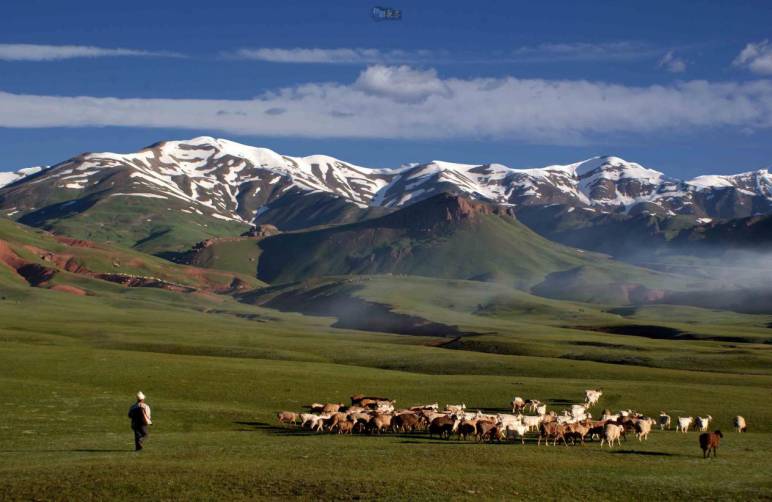 克孜勒苏柯尔克孜十大特产2026年本年度热度口碑双榜对比