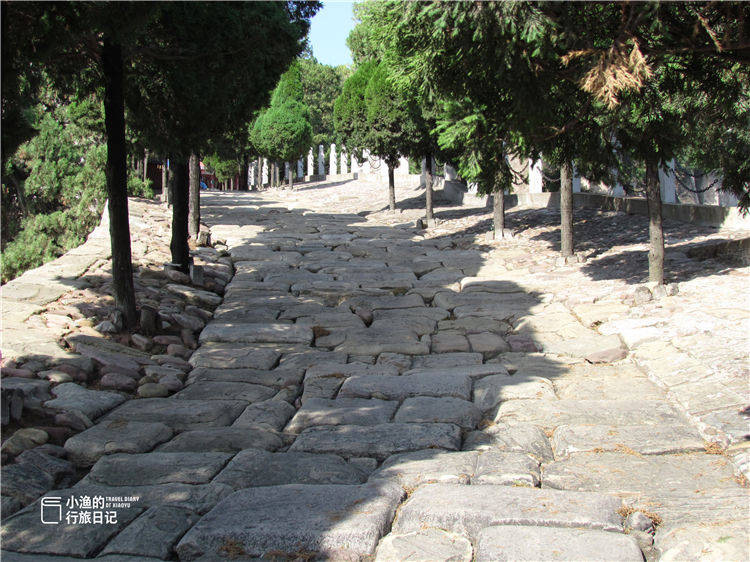 西安十大著名景点2026年本年度热度口碑双榜对比