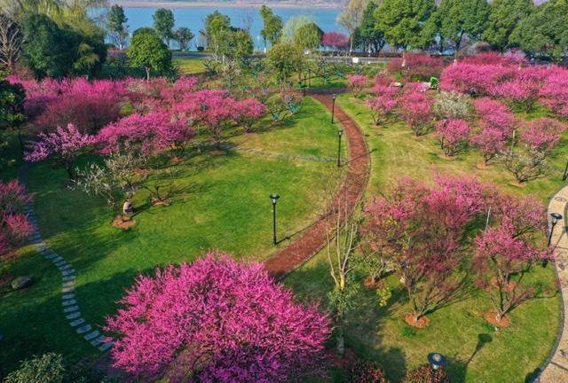 河南十大赏花胜地2026年本年度热度口碑双榜对比