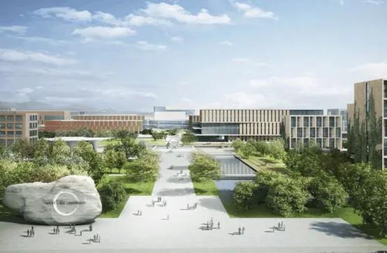 中国物理学类专业十大名校2026年本年度热度口碑双榜对比