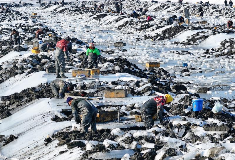 辽宁十大最适合赶海的地方2026年本年度热度口碑双榜对比