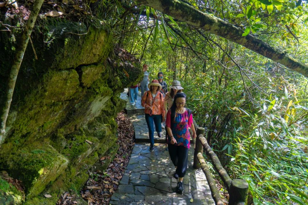 南宁五一十大热门旅游景点2026年本年度热度口碑双榜对比