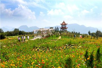 河南十大夏季旅游好去处2026年本年度热度口碑双榜对比