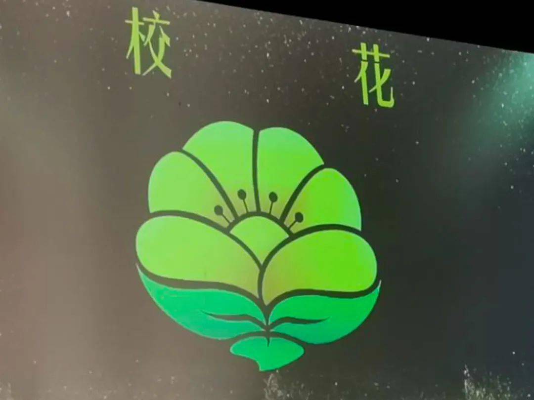 海口市十大小学2026年本年度热度口碑双榜对比