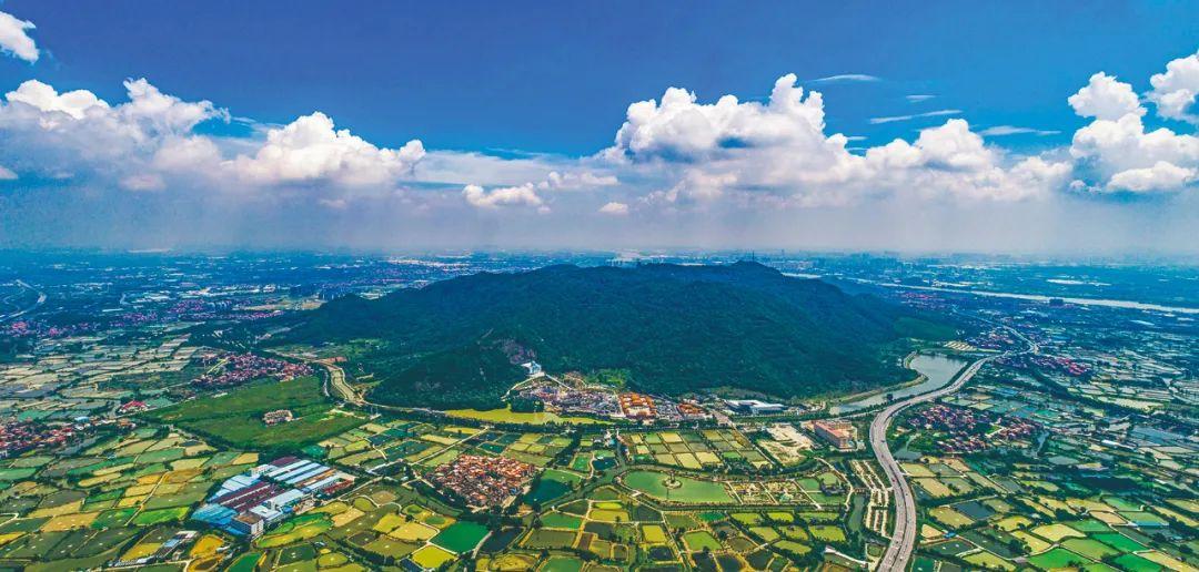 中国最经典十大农村剧2026年本年度热度口碑双榜对比