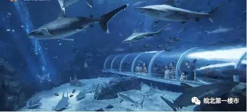 中国十大海洋馆2026年本年度热度口碑双榜对比 中国十大海洋馆2026年本年度热度口碑双榜对比