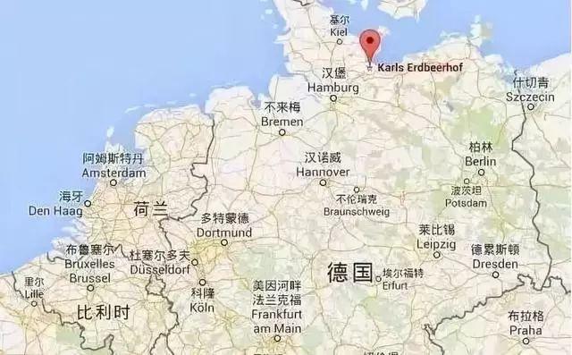 广州三大著名动物园2026年本年度热度口碑双榜对比