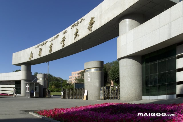 新疆综合实力最强的十大高校2026年本年度热度口碑双榜对比