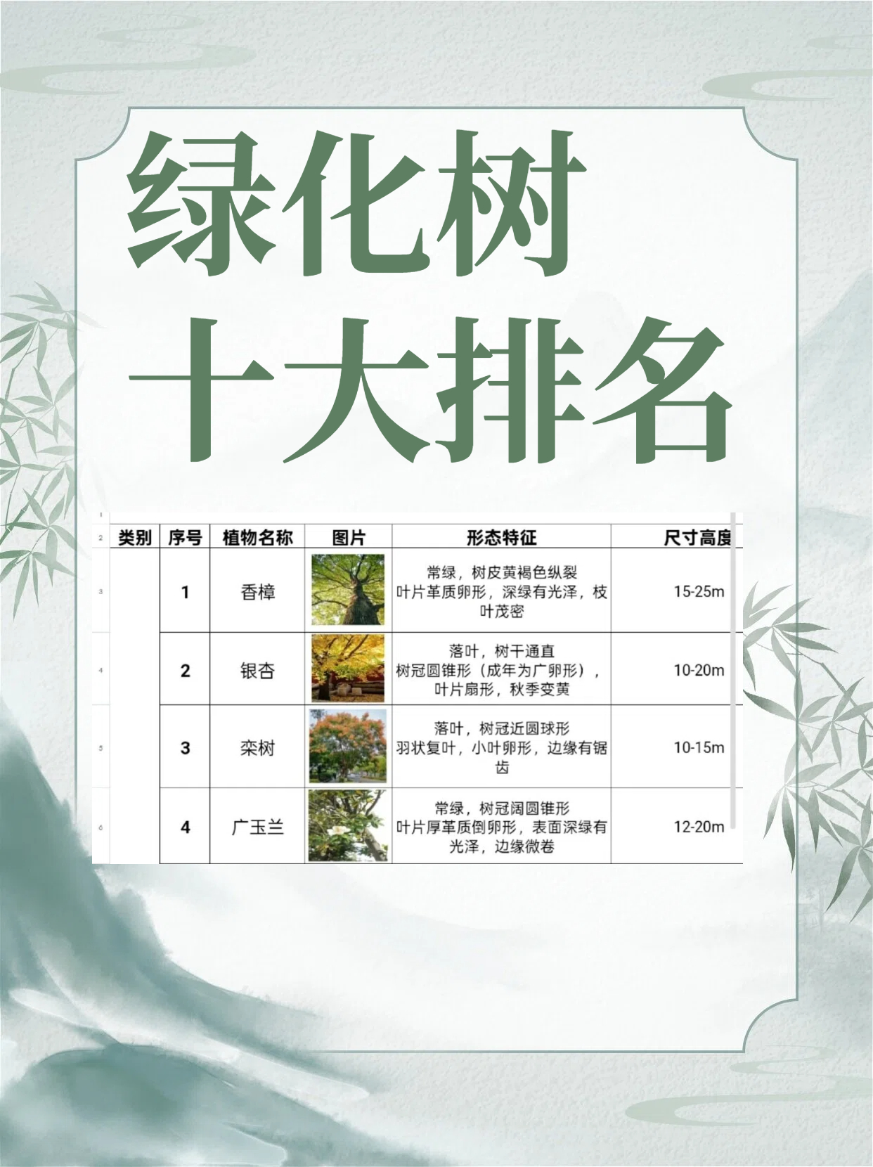 十大最耐寒的绿化树2026年本年度热度口碑双榜对比 十大最耐寒的绿化树2026年本年度热度口碑双榜对比