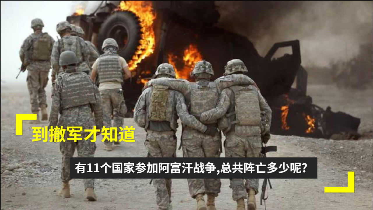 阿富汗五大战争2026年本年度热度口碑双榜对比