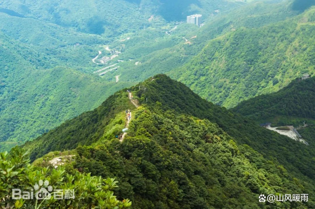 深圳十大名山2026年本年度热度口碑双榜对比