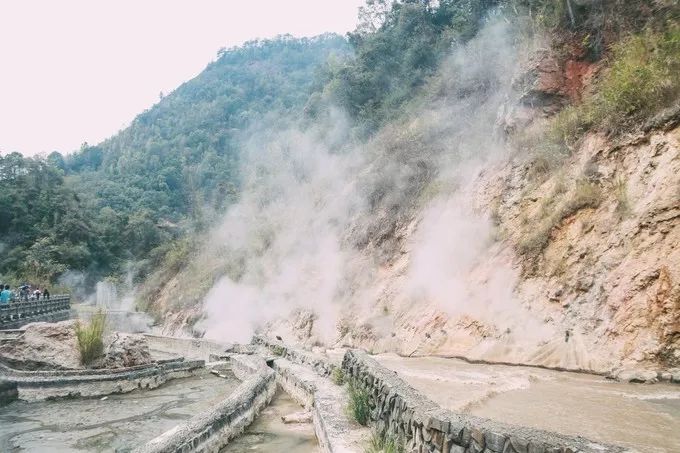 腾冲地热火山景区十大特产2026年本年度热度口碑双榜对比