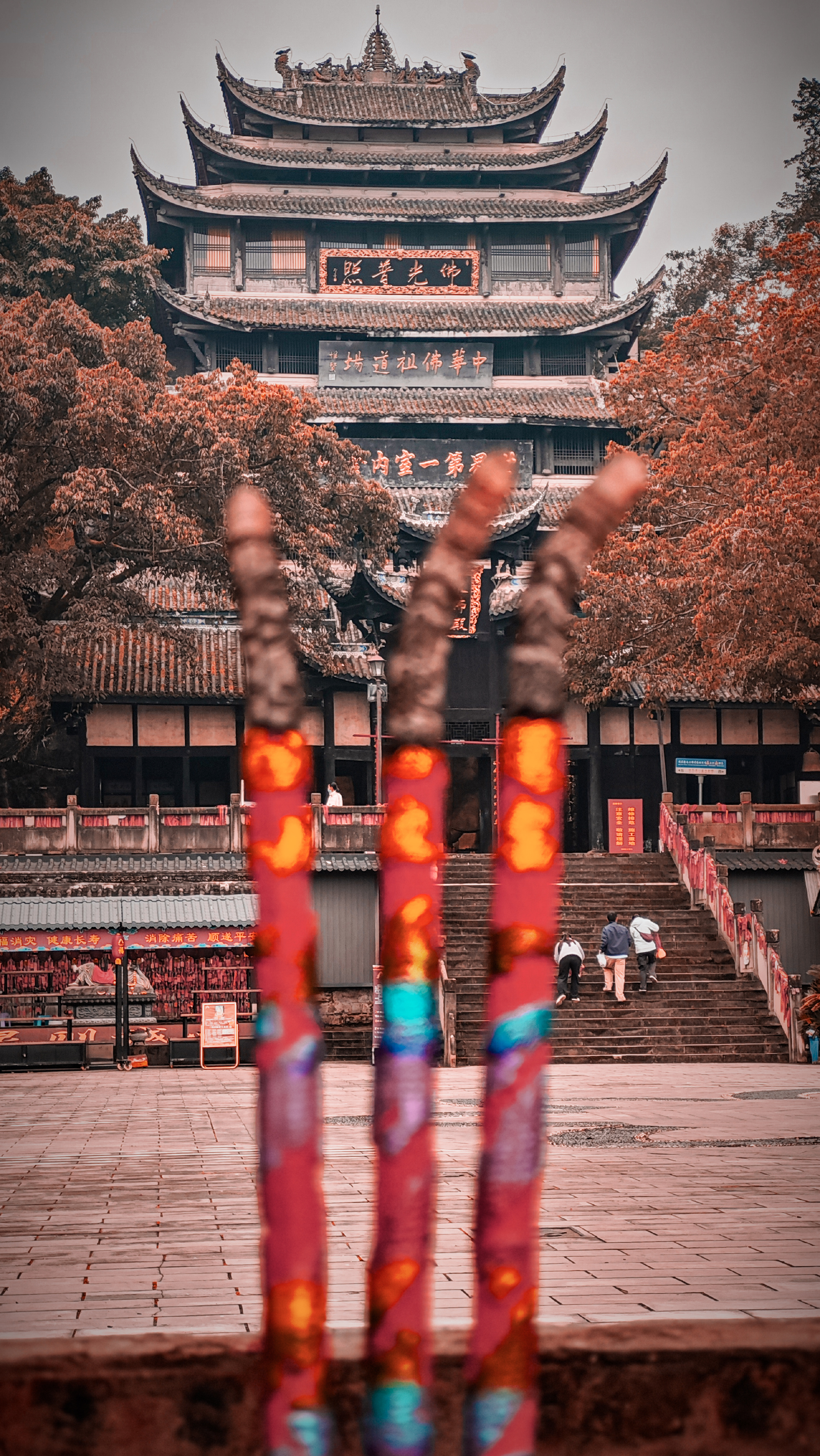 重庆市潼南区十大著名旅游景点2026年本年度热度口碑双榜对比