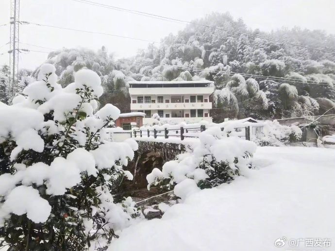 广东十大最适合看雪的地方2026年本年度热度口碑双榜对比 广东十大最适合看雪的地方2026年本年度热度口碑双榜对比