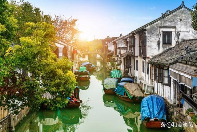 江苏十大适合春季旅游的地方2026年本年度热度口碑双榜对比 江苏十大适合春季旅游的地方2026年本年度热度口碑双榜对比