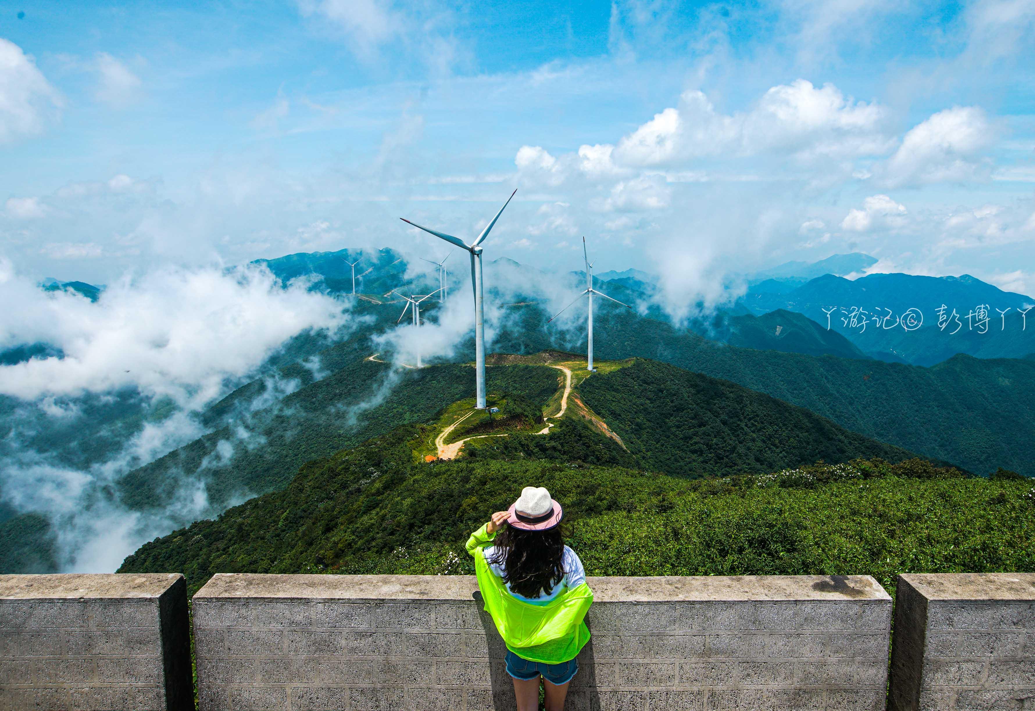 湖南夏天避暑更优之选旅游地2026年本年度热度口碑双榜对比
