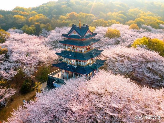 无锡适合带父母旅游的景点2026年本年度热度口碑双榜对比