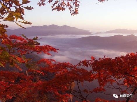 西安十大赏红叶好去处2026年本年度热度口碑双榜对比