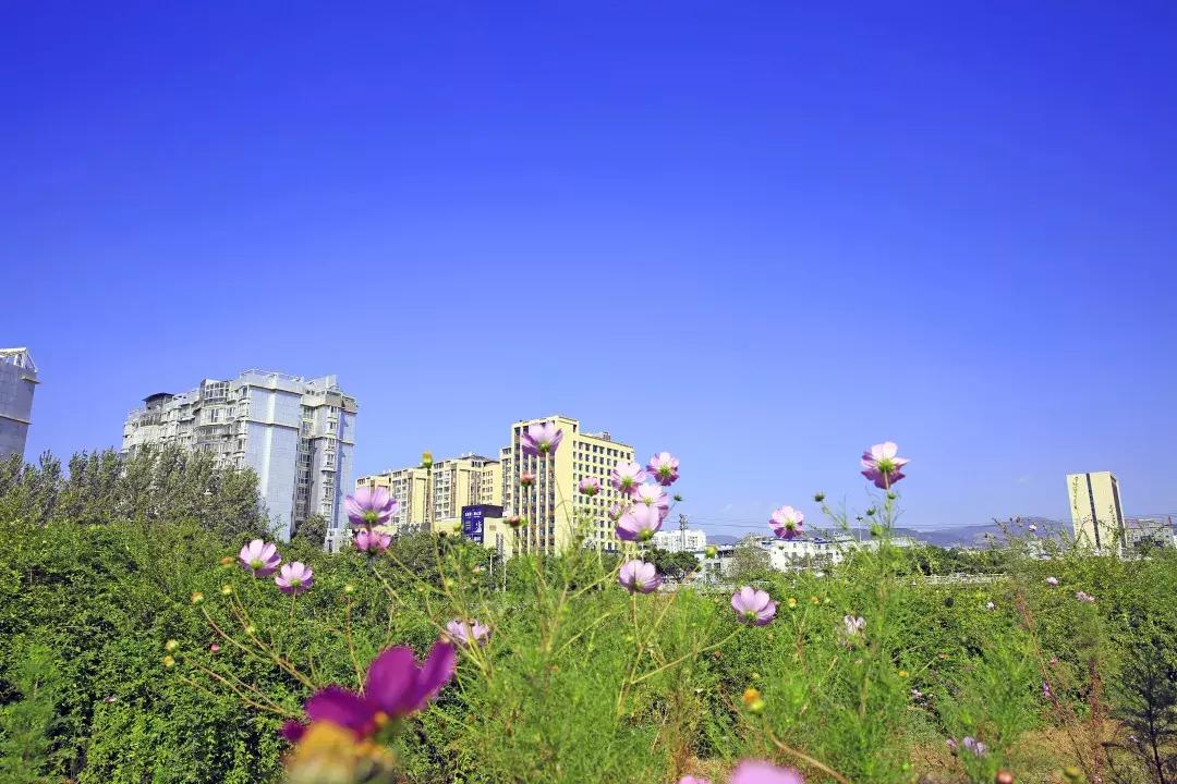 四川省十大乡村旅游景点2026年本年度热度口碑双榜对比 四川省十大乡村旅游景点2026年本年度热度口碑双榜对比