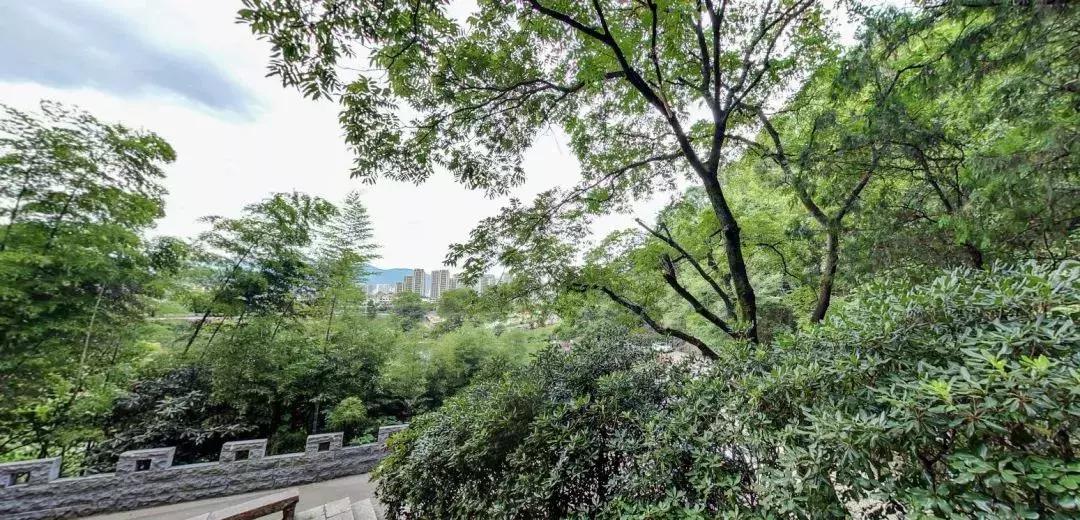 丽水市莲都区十大著名旅游景点2026年本年度热度口碑双榜对比